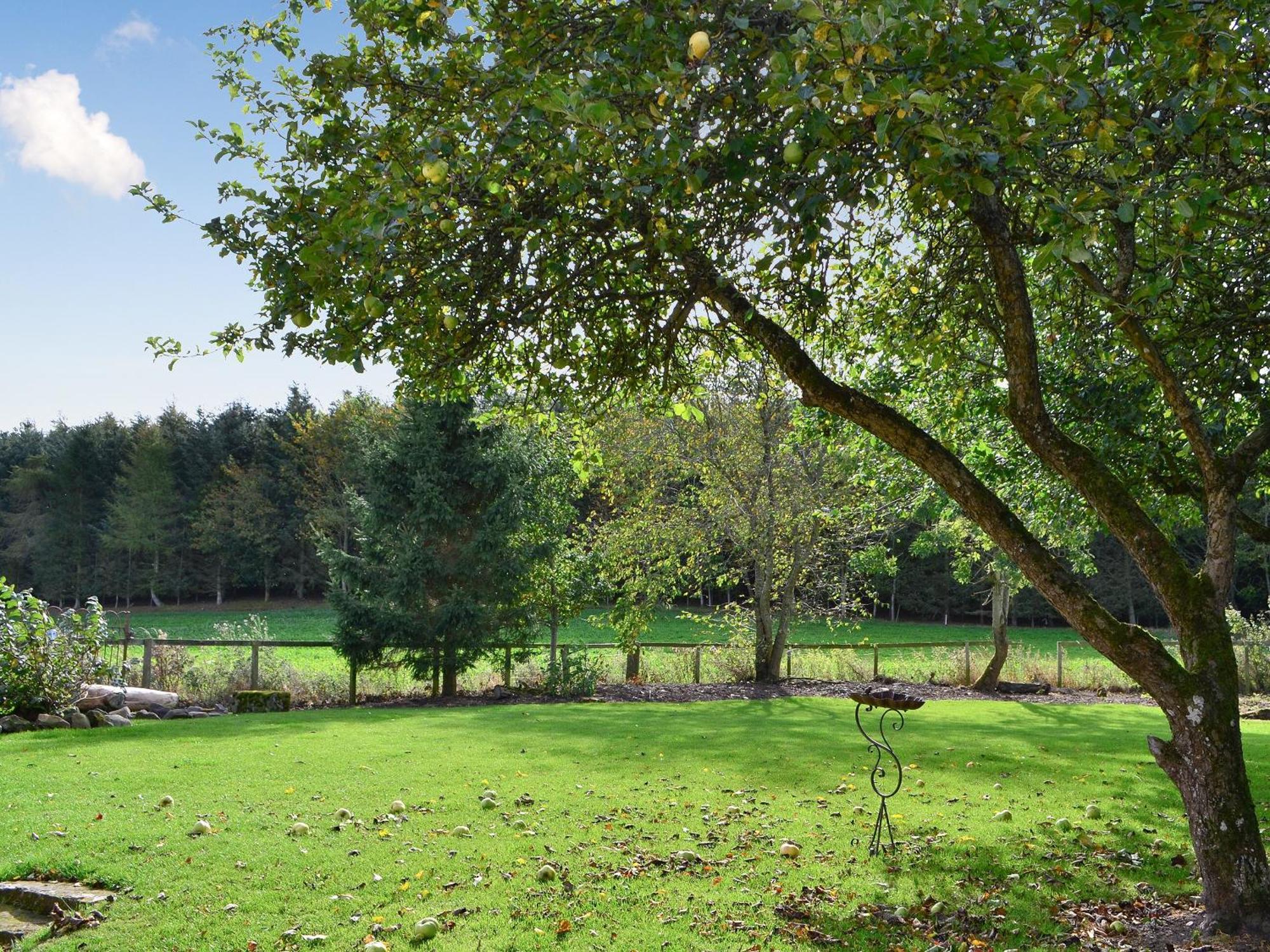 Broomhouse Lodge Edrom Екстер'єр фото
